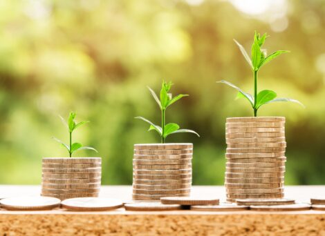 coins and growth