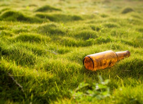 A brown glass bottle laying in a grass field.