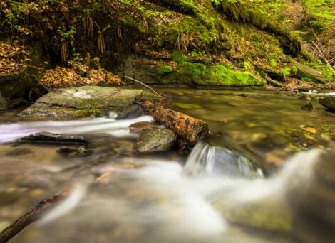 A close up of a stream
